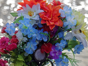 icsilviu-flora-4887674_1280