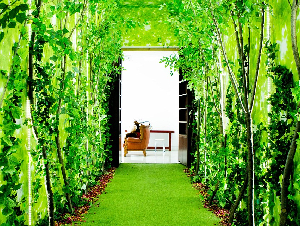 in-the-woods-1019622_1280