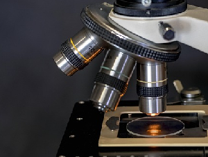 microscope-4493215_640