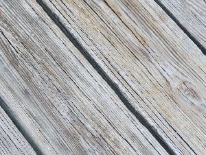 mistockshop-wood-1972877_1920