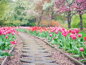 pathway-2289978_12801