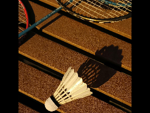 pexels-227265240-120586781