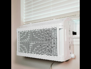 pexels-airamdphoto-165926252