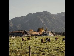pexels-alesiakozik-6022628
