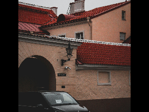 pexels-alexey-makarov-1255860-2385881