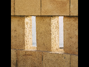 pexels-anntarazevich-6900708