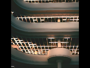 pexels-arvind-krishnan-1139604411-32449384