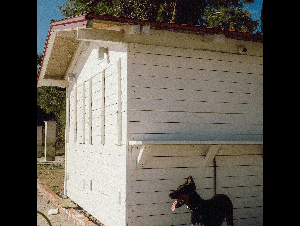 pexels-bynikolavu-30431214