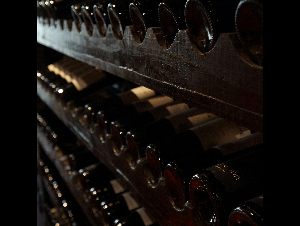 pexels-cantuariabruno-774455