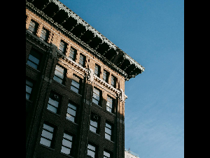 pexels-charles-parker-58455502