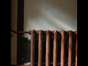 pexels-cottonbro-4752984