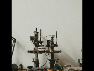 pexels-danacetojevic1-12884573