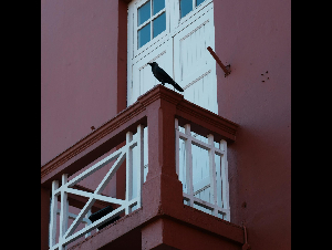 pexels-dannyfeng-339767871