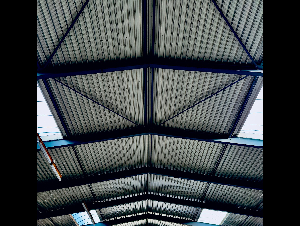 pexels-david-underland-34006092