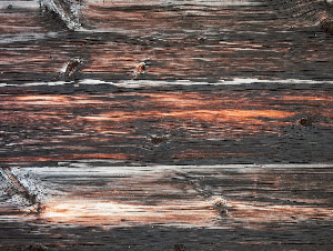 pexels-dmitry-demidov-515774-3800260