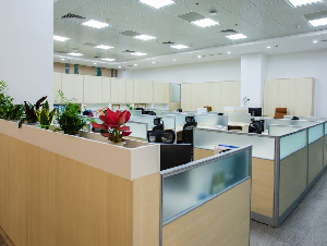 pexels-doan-thanh-binh-2147604563-36631701