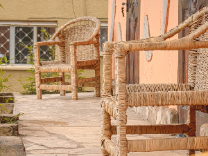 pexels-enock-ojambo-1365731-33613731