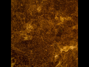 pexels-freestockpro-12932845