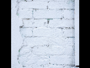 pexels-gabby-k-7794434