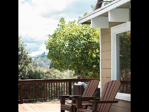 pexels-griffinw-33856316