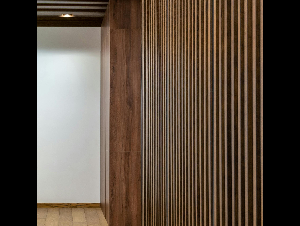 pexels-heyho-6958129