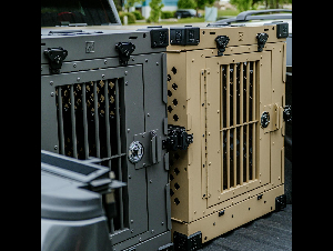 pexels-impact-dog-crates-1789722873-29040693