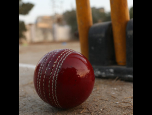 pexels-imtiazahmed-20652472