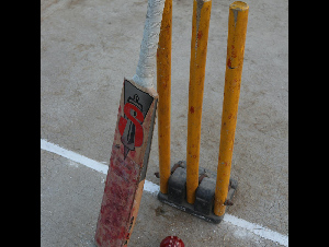 pexels-imtiazahmed-20652481