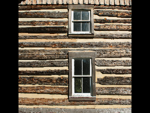 pexels-inspired2love-34356633