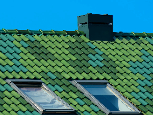 pexels-jan-van-der-wolf-11680885-9289942