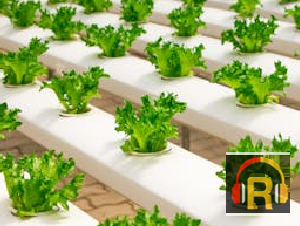 Swayam Krishi - Self Farming