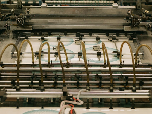 pexels-joaojesusdesign-19316517