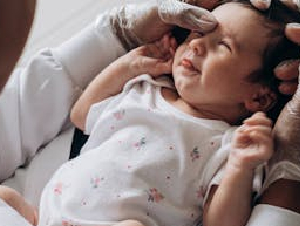 pexels-jonathanborba-19550819