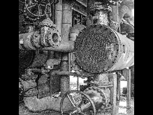 pexels-julia-fuchs-19936537-6923526