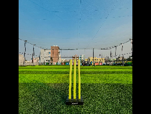 pexels-k-prasad-239812050-35845252