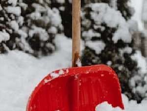 pexels-karolina-grabowska-6952496