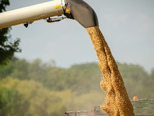 pexels-leon-aschemann-734730704-27420256