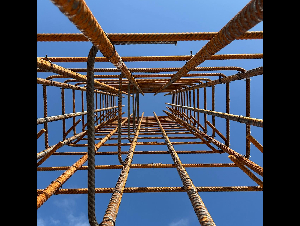 pexels-maren-ferraro-3055534-29299824