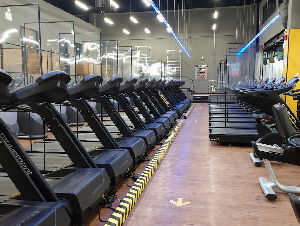 pexels-mario-garcia-653996-12250460