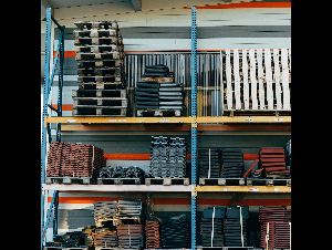 pexels-markus-winkler-1430818-10261153