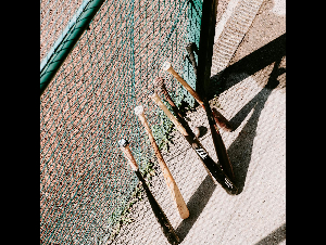 pexels-matreding-18618017