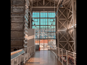 pexels-merve-yazici-49562215-10574768_(1)