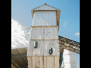 pexels-micaasato-10581453