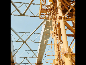 pexels-mikael-blomkvist-8960994