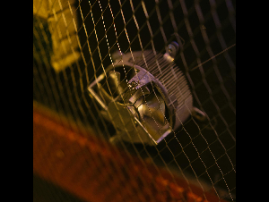 pexels-mikhail-nilov-81086871