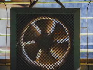 pexels-minan1398-1650031