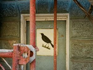 pexels-myatezhny39-2121673