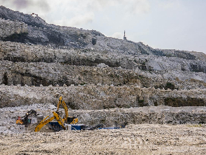 pexels-nc-farm-bureau-mark-17146231