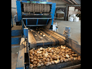 pexels-nc-farm-bureau-mark-28891991