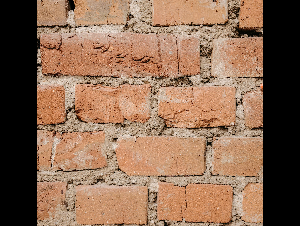 pexels-pavel-danilyuk-7518704